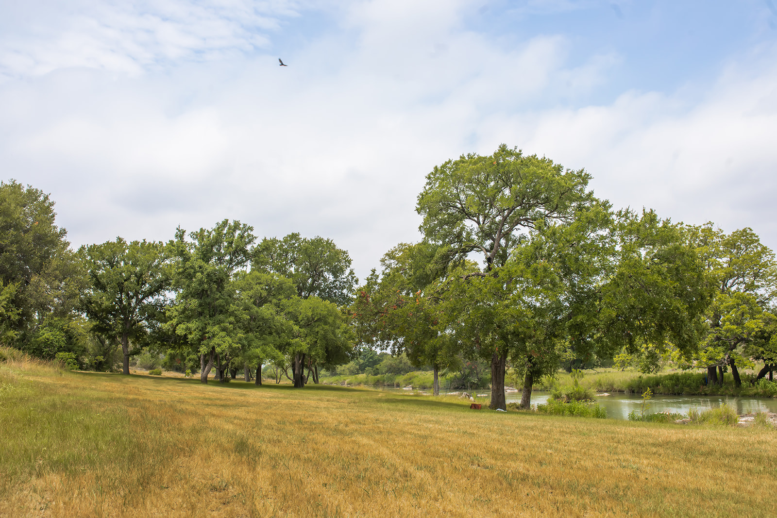 Selah Springs - Texas Family Reunions Properties